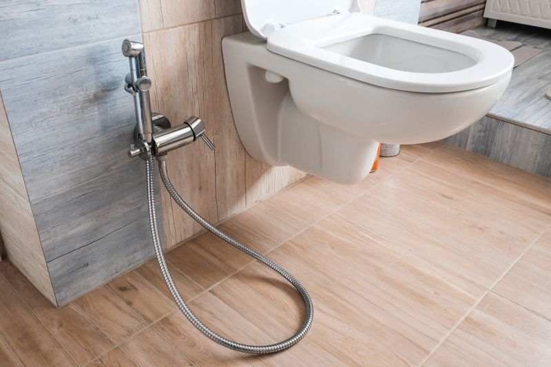 Toilet and Bidet Replacements